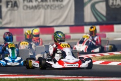 NI5_6524