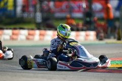 WSK OPEN CUP RD  02